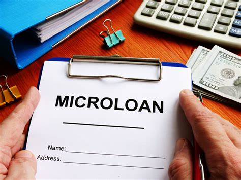 What Is A Microloan Quizlet
